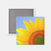 Aimant Tournesol (Recto/Verso)