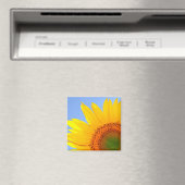 Aimant Tournesol (In Situ (Lave-vaisselle))