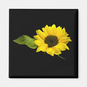 Aimant tournesol