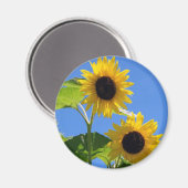 Aimant Tournesol (Recto/Verso)