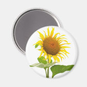 Aimant Tournesol (Recto/Verso)