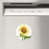Aimant Tournesol (In Situ (Lave-vaisselle))