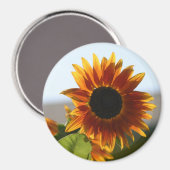 Aimant Tournesol (Recto/Verso)