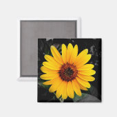 Aimant Tournesol 2 (Recto/Verso)
