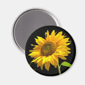 Aimant Tournesol brillant sur Arrière - plan noir (Recto/Verso)