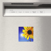 Aimant Tournesol dans l'aimant du soleil (In Situ (Lave-vaisselle))
