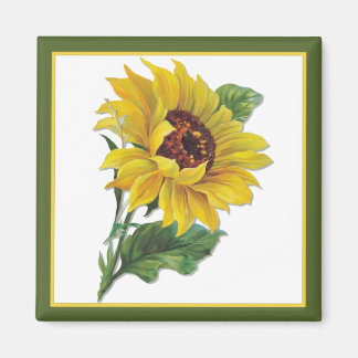 Aimant Tournesol doré
