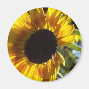 Aimant Tournesol du matin personnalisable