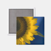 Aimant Tournesol en bleu (Recto/Verso)