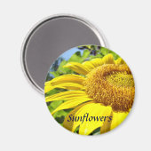 Aimant tournesol été Floral magnets (Recto/Verso)