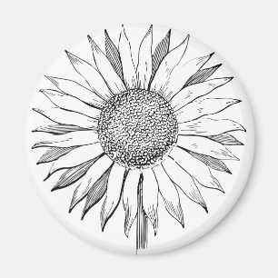 Aimant Tournesol illustré