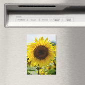 Aimant - Tournesol Isolé (In Situ (Lave-vaisselle))