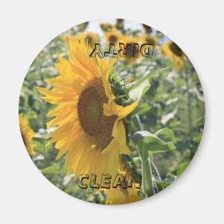 Aimant Tournesol italien