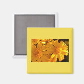 Aimant Tournesol jaune (Recto/Verso)