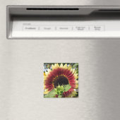 Aimant Tournesol Razzmatazz (In Situ (Lave-vaisselle))