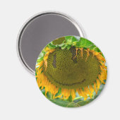 Aimant Tournesol souriant (Recto/Verso)