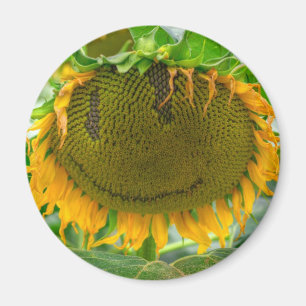 Aimant Tournesol souriant