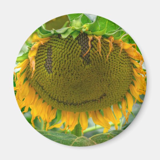 Aimant Tournesol souriant (Devant)