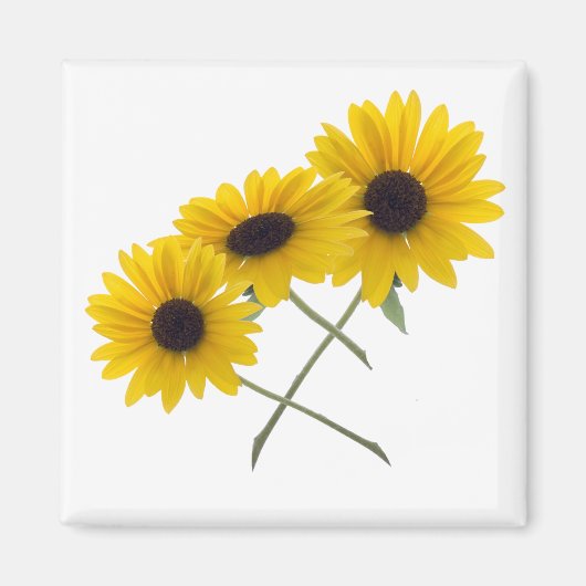 Aimant Tournesol triple (Devant)