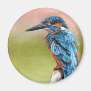 Aimant Tourquoise Morning Kingfisher Bird