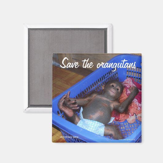 Aimant Tous les bébés ont besoin d'amour (Recto/Verso)