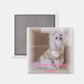 Aimant Tout ce qu'il nous faut, c'est l'Amour ! (Recto/Verso)