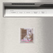 Aimant Tout ce qu'il nous faut, c'est l'Amour ! (In Situ (Lave-vaisselle))