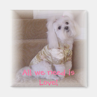 Aimant Tout ce qu'il nous faut, c'est l'Amour !