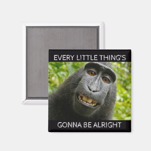 Aimant Tout va bien singe (Recto/Verso)