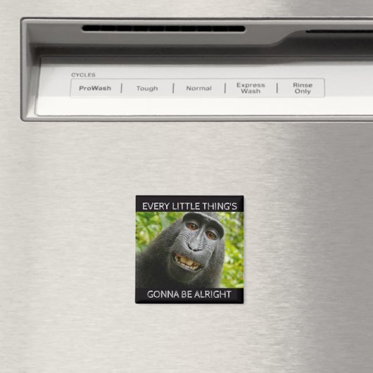 Aimant Tout va bien singe (In Situ (Lave-vaisselle))