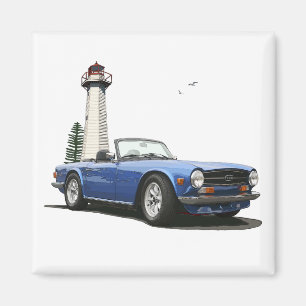Aimant TR6 bleu