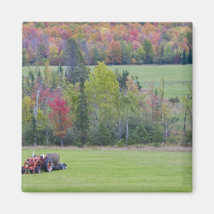 Aimant Tracteur avec balai à foin en champ vert avec