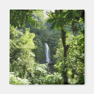 Aimant Trafalgar Falls Tropical Rainforest Photographie