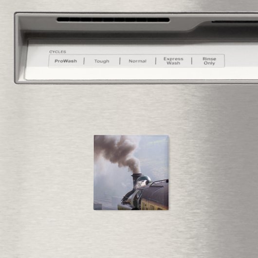 AIMANT TRAINS À VAPEUR (In Situ (Lave-vaisselle))