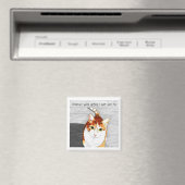 aimant : Traitements pour Hobbes (In Situ (Lave-vaisselle))