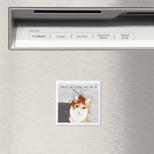 aimant : Traitements pour Hobbes (In Situ (Lave-vaisselle))