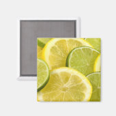Aimant Tranches de citron et de citron vert (Recto/Verso)