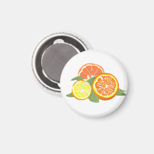 Aimant Tranches de Citron Orange Frais