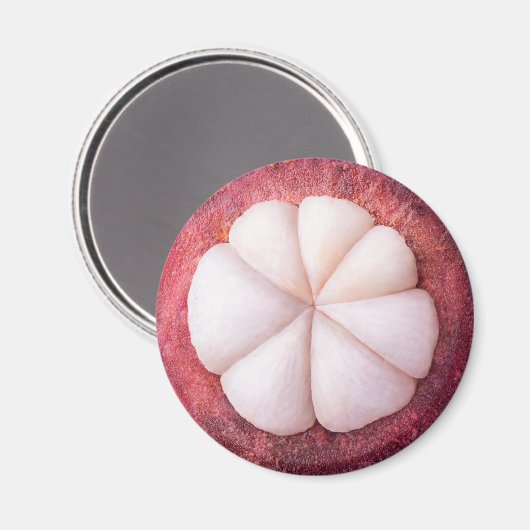 Aimant Tranches de mangoustan (Recto/Verso)