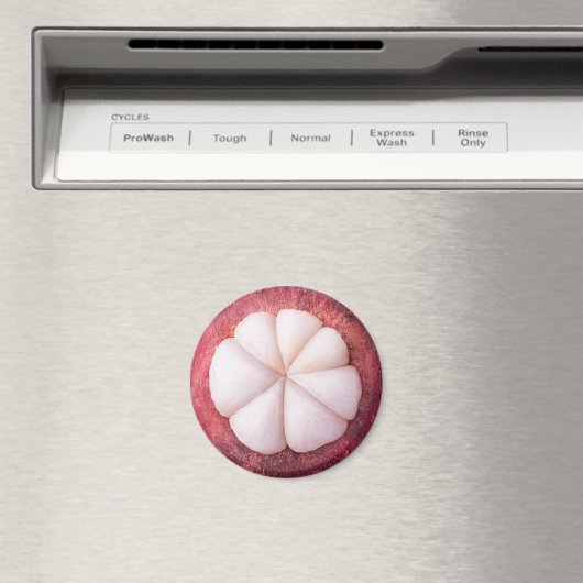 Aimant Tranches de mangoustan (In Situ (Lave-vaisselle))