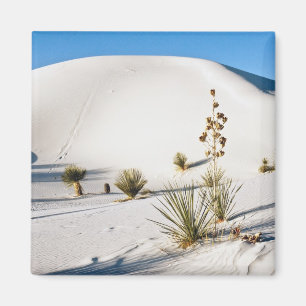 Aimant Transverse Dunes and Soaptree Yucca