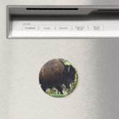 Aimant Traversée de bisons (In Situ (Lave-vaisselle))
