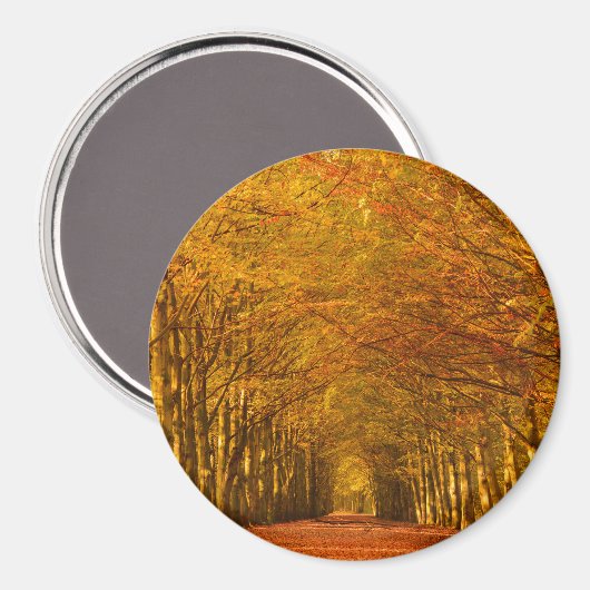 Aimant Traverser la forêt dans l'aimant rond d'automne (Recto/Verso)