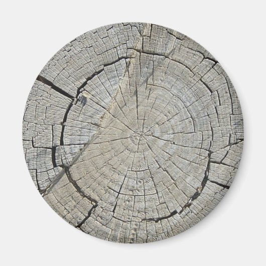 Aimant Tree stump (Devant)