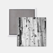 Aimant tremblez peupliers d'Aspen (Recto/Verso)