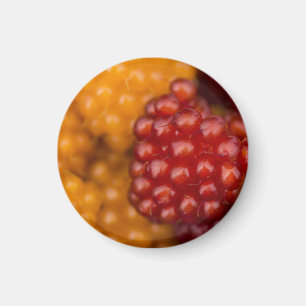 Aimant Très Berry