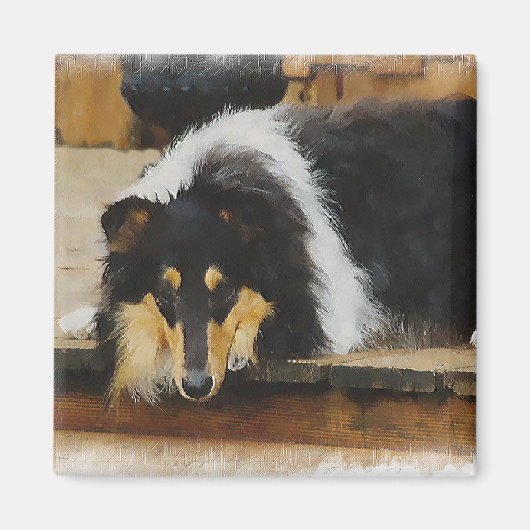 Aimant Tri Color Rough Collie Cadeaux Art (Devant)