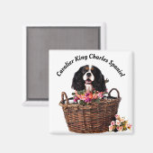 Aimant Tri Couleur Cavalier King Charles Spaniel Chien (Recto/Verso)