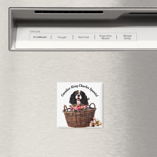 Aimant Tri Couleur Cavalier King Charles Spaniel Chien (In Situ (Lave-vaisselle))