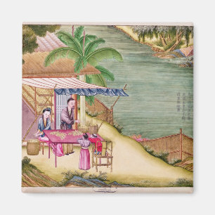 Aimant Tri des cocons